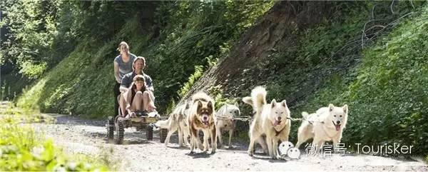 在這里露營，一年四季都景色如畫