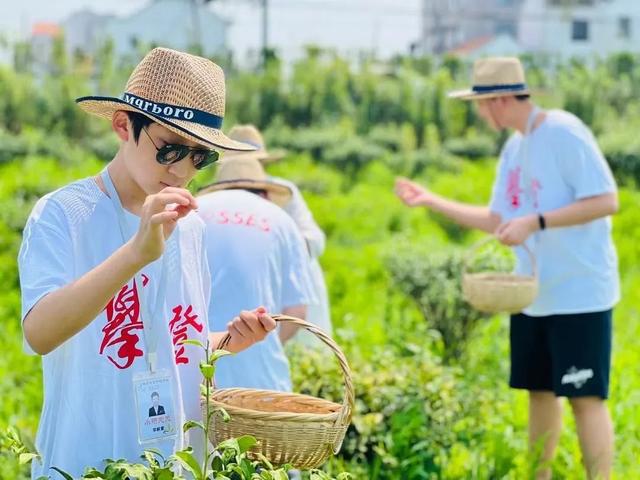 露營+房車+帳篷+...金山這些親子納涼游玩好去處，你都知道嗎？